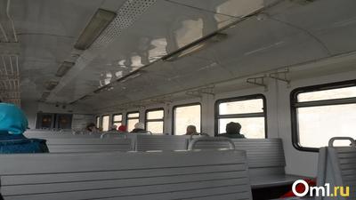 Запуск скоростного поезда «Ласточка» между Новосибирском и Барнаулом  отложили на 2021 год - 6 ноября 2020 - НГС.ру