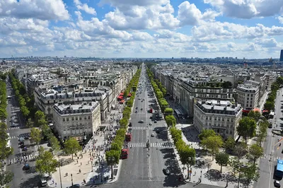 В Париже Елисейские поля хотят закрывать для машин один день на месяц |  УНИАН