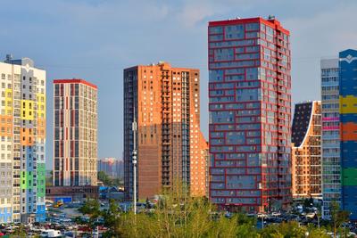 Лучшие районы для проживания в Новосибирске | Кайли — квартиры в  новостройках | Дзен