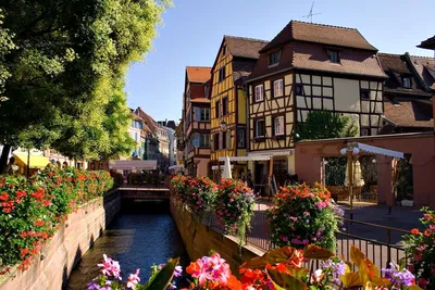 Alsace: The Classic, Yet Somewhat Forgotten, Wine Region