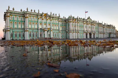 Государственный Эрмитаж в Санкт-Петербурге: описание залов, режим работы,  адрес