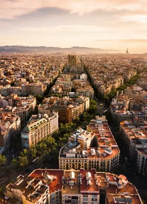 Apartaments Marina - Abapart, Барселона - обновленные цены 2024 года