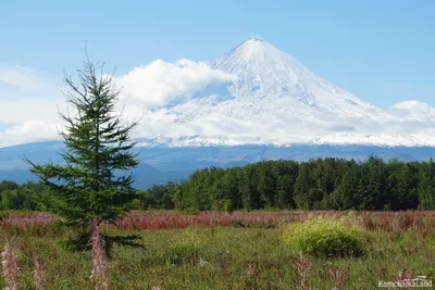 Esso, Kamchatka Krai - Kamchatkaland