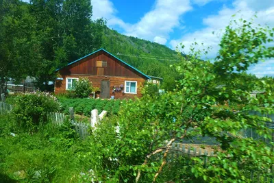 Гостиница Алёна-Тур - Эссо, Камчатский край, фото гостиницы, цены, отзывы