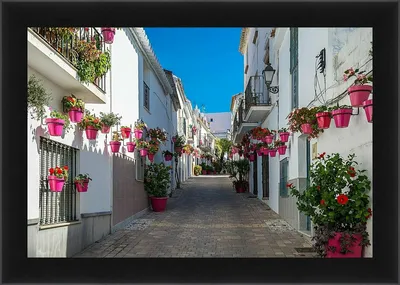 Фото «Эстепона. Старый город» из фотогалереи «Без названия» отель  «Mediterraneo Marbella