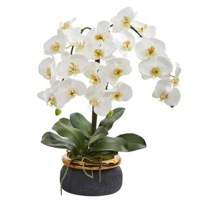 Orchid Rome Florist: Roots and Willow | Local Flower Delivery Rome, GA 30161