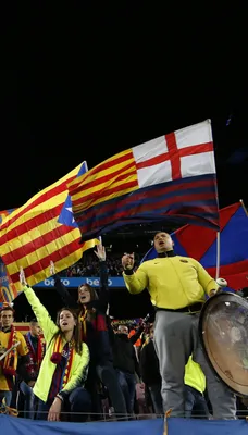 Фанаты \"Барселоны\" устроили протест в самолете команды - Футбол 24