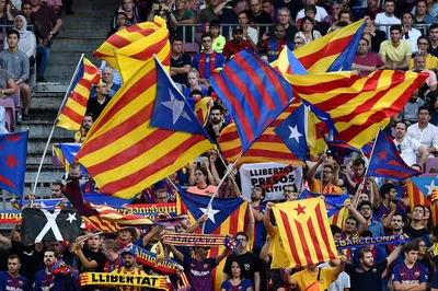 Фанаты «Барселоны» смогут купить газон с «Камп Ноу». Спорт-Экспресс