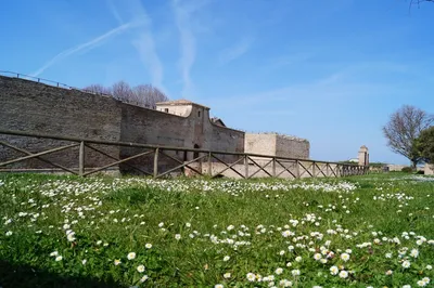 Фано Пезаро Марке Италия Катестрале Сантамарияассунта — стоковые фотографии  и другие картинки Фано - iStock