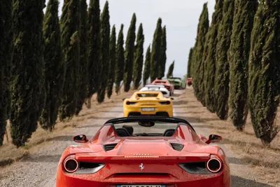 Galleria Ferrari Maranello – Фото Италия