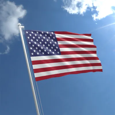 American flag image usa icon Royalty Free Vector Image