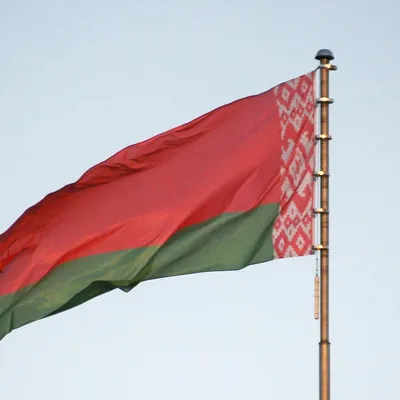 Флаг Белоруссии обои - 27 фото