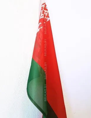 В Польше неизвестные надругались над флагом Белоруссии - 24.08.2021,  Sputnik Литва