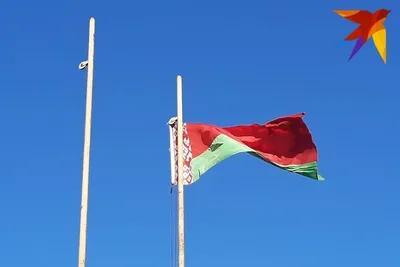 Векторный клипарт Флаг Белоруссии скачать для дизайна