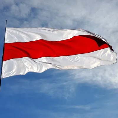 МИД Литвы поддержал снятие флага Белоруссии на чемпионате мира в Риге — РБК