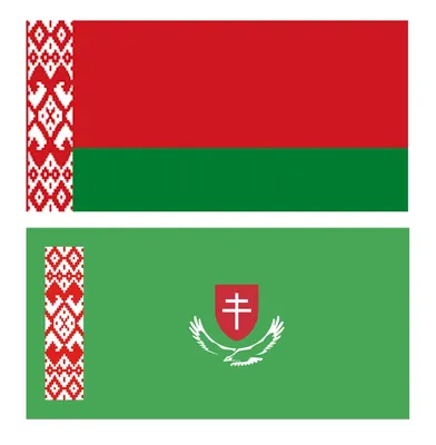 Флаг Беларуси — история бело-красно-белого знамени, ставшего символом  протестов — фото / NV