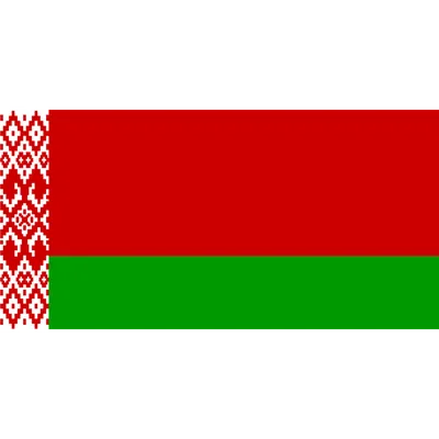 Flag: Belarus 2012 | Флаг Беларуси в новой редакции | landscape flag |  2.16m² | 23sqft | 100x200cm | 40x80inch