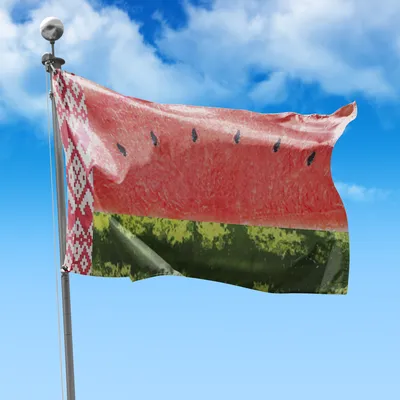 Посмотрите, как выглядят флаги других стран в стиле Беларуси и наоборот -  KP.RU