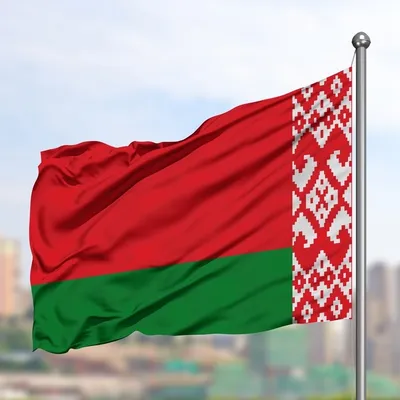 Государственный флаг Белоруссии заменили на оппозиционный на ЧМ по хоккею в  Риге | РИА Новости Медиабанк