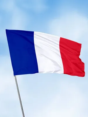 Флаг Франции большой на стену 90х135 флаги стран мира Заверните! 15116885  купить за 599 ₽ в интернет-магазине Wildberries