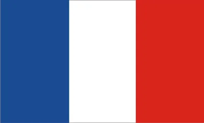 Флаг Франции иллюстрация вектора. иллюстрации насчитывающей бело - 163912666