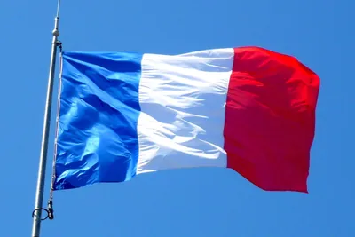 Флаг Франция Национальный - Бесплатная векторная графика на Pixabay -  Pixabay