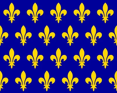 Флаг Франции фото фотографии