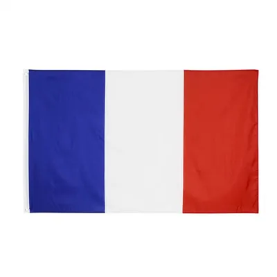 Китай изготовленный на заказ полиэфирный флаг Франции Поставщики,  производители - Прямая продажа с фабрики - JOHNIN FLAG