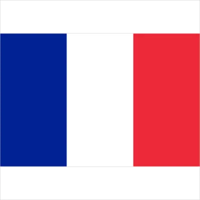 Флаг Франции купить