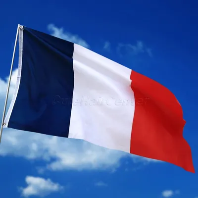 Флаг Франции стоковое фото. изображение насчитывающей историческо -  159226374