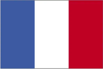 Official Flag of the Republic of Paris : r/vexillology