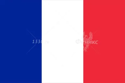 Значок. Флаг Франции / France - купить с доставкой по выгодным ценам в  интернет-магазине OZON (263323913)