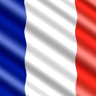 Флаг Парижа С Гербом Франции, Написанный На Грязной Стене Фотография,  картинки, изображения и сток-фотография без роялти. Image 63254611