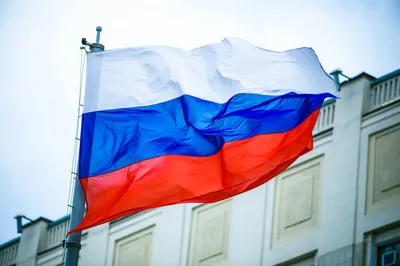 Флаг России большой на стену российский триколор РФ 100х150 - купить  Сувенир по выгодной цене в интернет-магазине OZON (914171507)