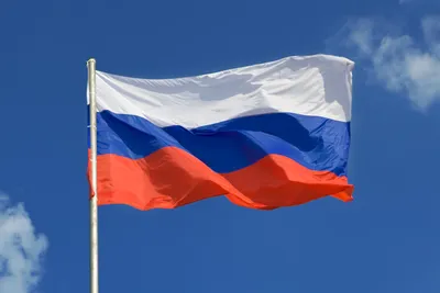 Флаг России, иллюстрация вектора Иллюстрация вектора - иллюстрации  насчитывающей торжество, независимость: 110957361