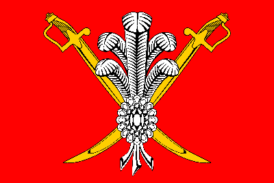 Флаг Санкт-Петербурга, Российская Федерация, Россия Векторное изображение  ©frizio 136156006