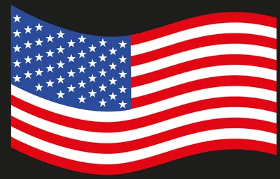 USA - American Flag and Country Outline\" Art Board Print for Sale by  HandDrawnTees | Redbubble