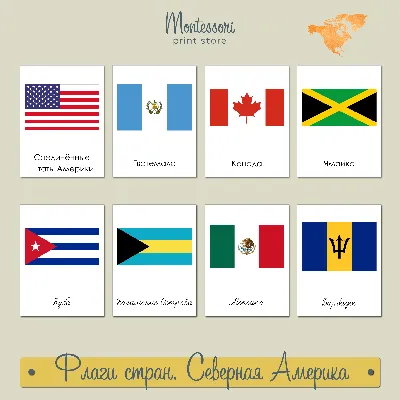 Коллекция флагов Латинской Америки Векторное изображение ©renomartin  13704466