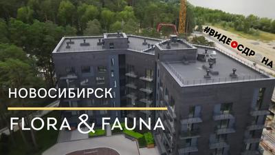 Флора и Фауна Новосибирск: подробно о комплексе, фото Флора и Фауна  Новосибирск. Купить квартиру на берегу Оби в Новосибирске