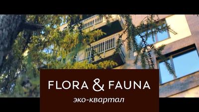 ЖК «Флора и Фауна» | Saint Gobain