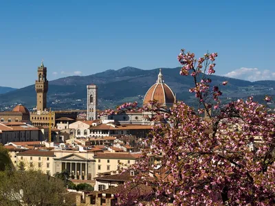 Флоренция: знакомство с «Цветущей» 🧭 цена экскурсии €110, отзывы,  расписание экскурсий во Флоренции