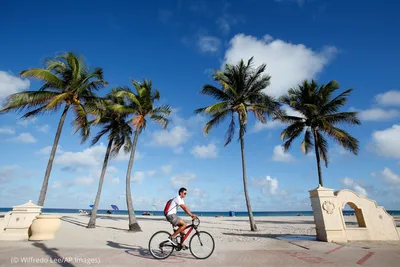 Майами, Флорида, США Август 2019 года Люди отдыхают на Южном пляже Майами  Бич - популярное место для местных жителей и туристов Редакционное  Фотография - изображение насчитывающей америка, гостиница: 163689507