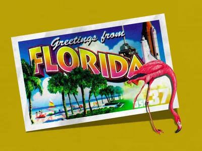 Florida - Wikipedia