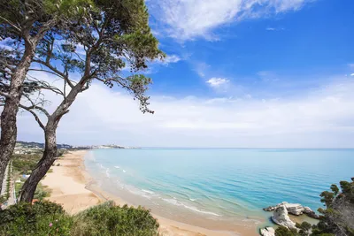 Gargano Деревни Крупного Рогатого Скота Фоджа Апулии Италии — стоковые  фотографии и другие картинки Провинция Фоджа - iStock