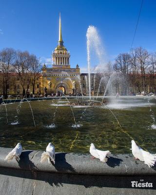Сезон фонтанов в Санкт-Петербурге готовится к завершению - АБН 24