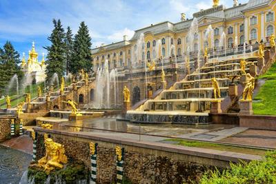 Поющие Фонтаны Санкт-Петербурга (Санкт-Петербург, Россия) - авторский  обзор, часы работы, цены, фото | Коллекция Кидпассаж