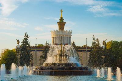 Бронзовые гуси и голубое дерево: самые необычные фонтаны Москвы