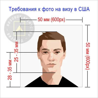 Виза в США для россиян в 2023 году. Как получить визу в Америку?