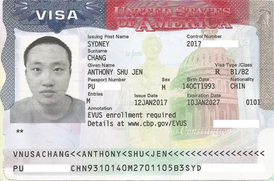 7 требований к фотографии на визу в США в 2024 какие нужно знать | Нью-Йорк