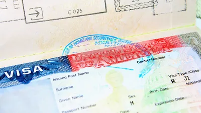 Виза в США | Типы и категории визы, наиболее популярные виды визы в 2024  году